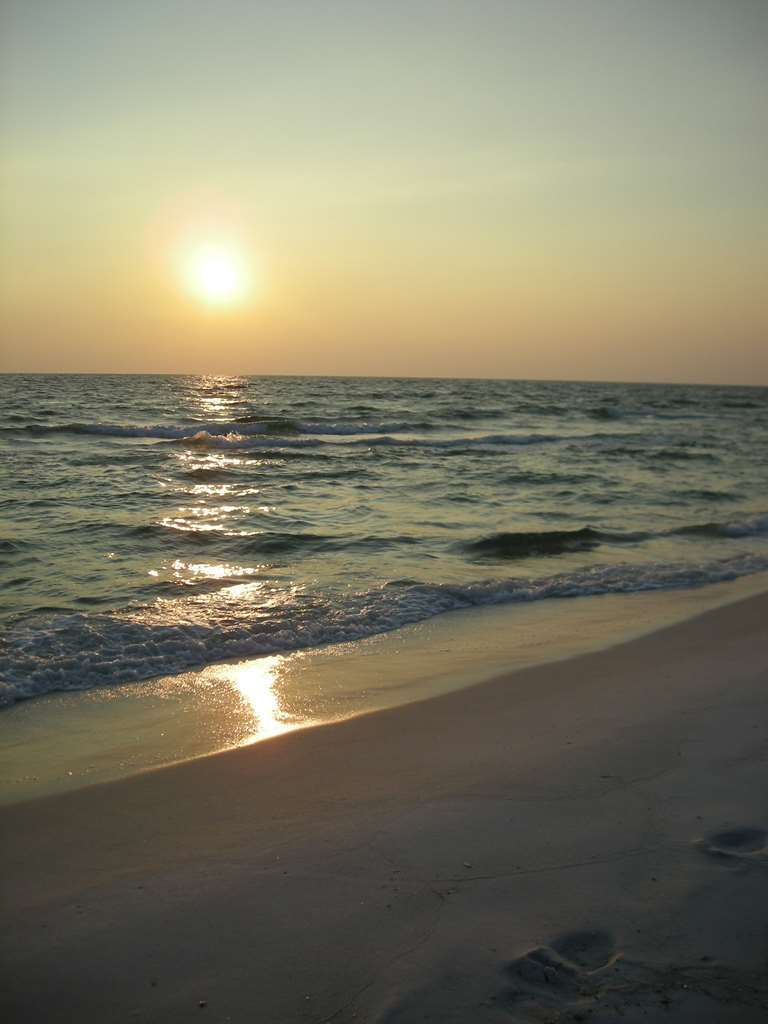 Hampton Inn By Hilton Panama City Beach Upper Grand Lagoon Φύση φωτογραφία